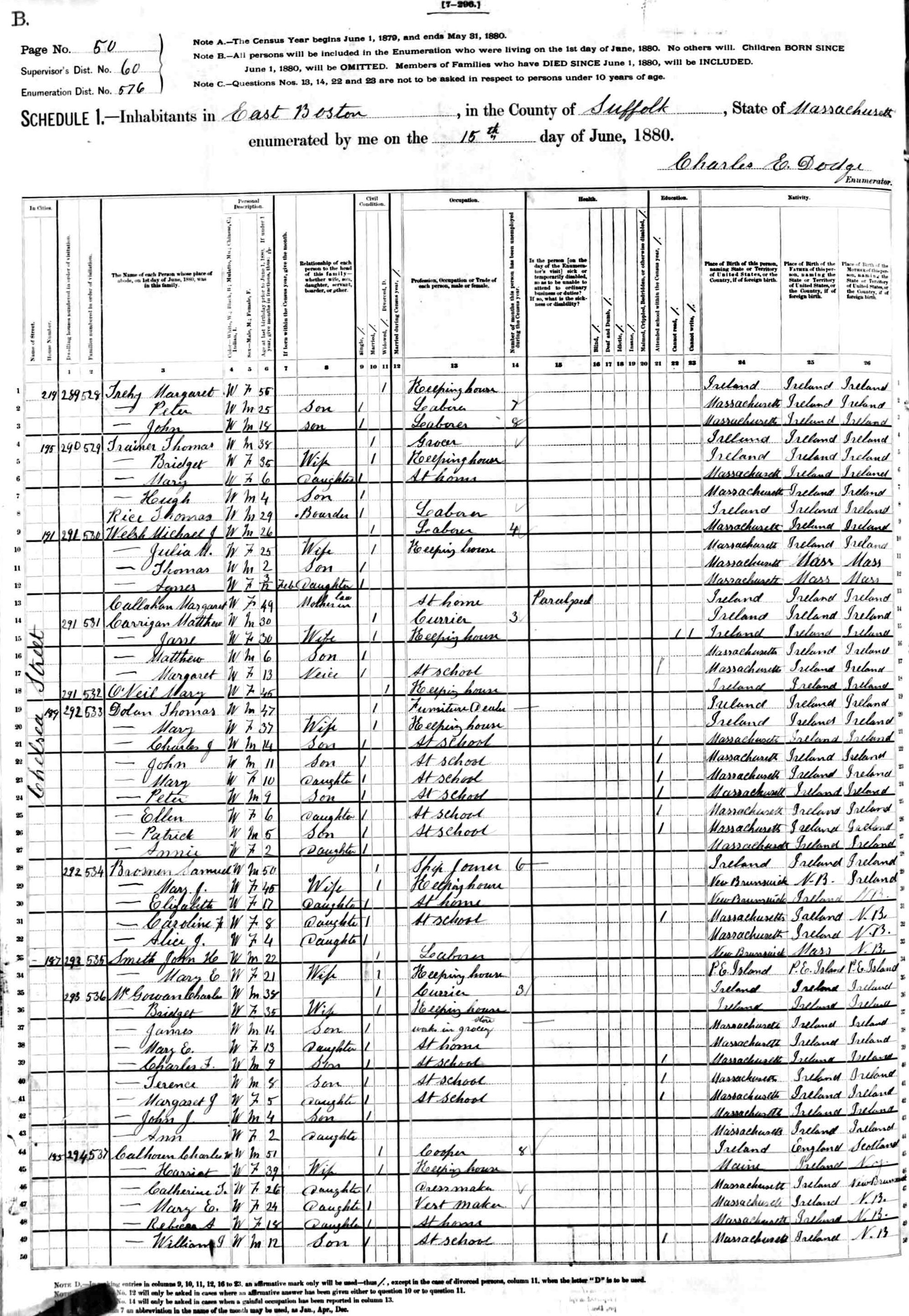 Image of an 1880 census page