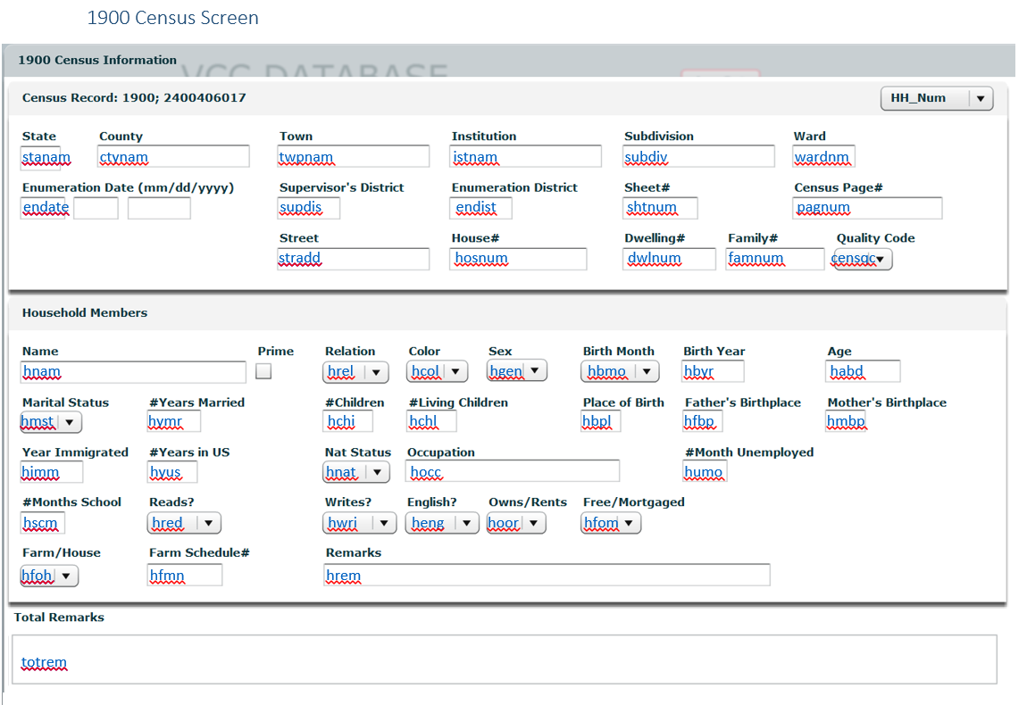 Image of the 1900 Veteran's Children Census data entry screen