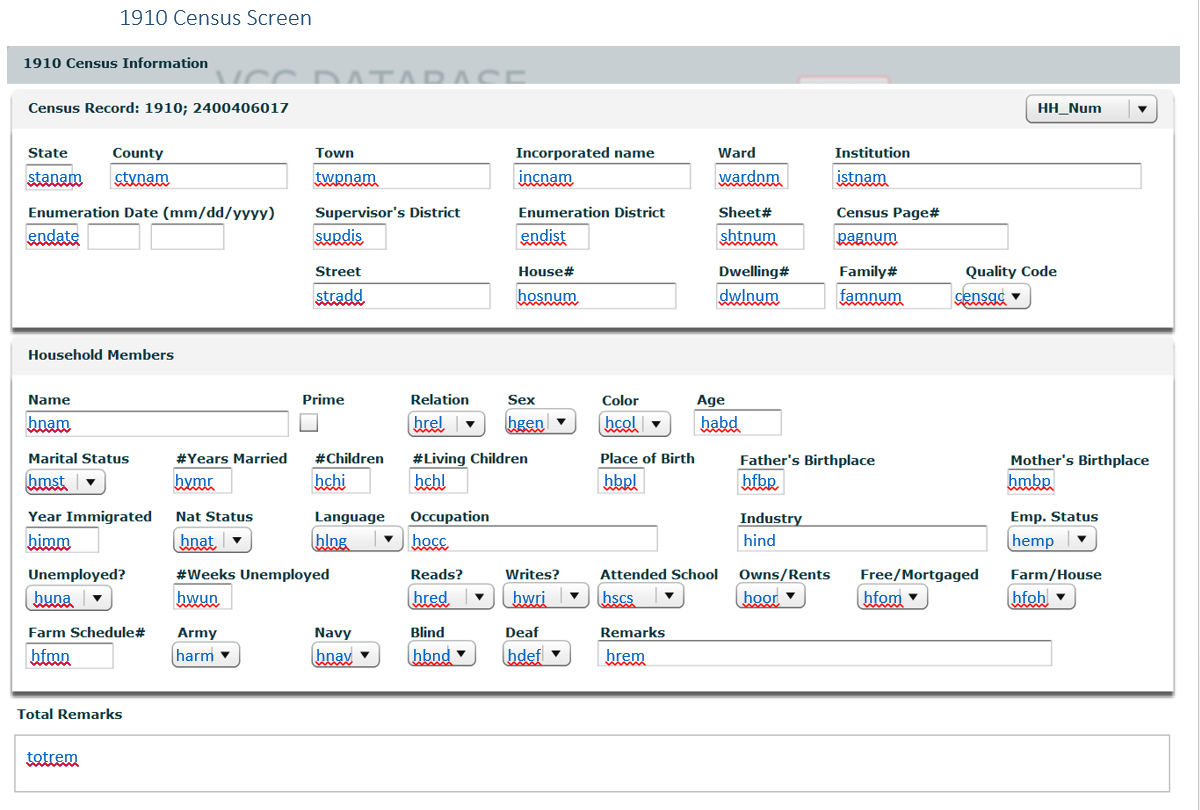 Image of the 1900 Veteran's Children Census data entry screen