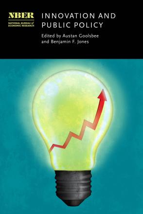 Innovation and Public Policy book cover
