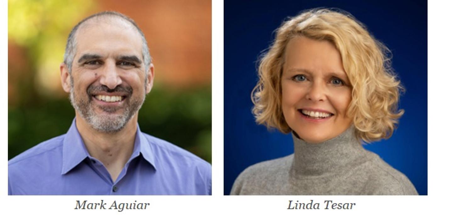 Mark Aguiar, Linda Tesar to Lead International Finance and Macroeconomics Program