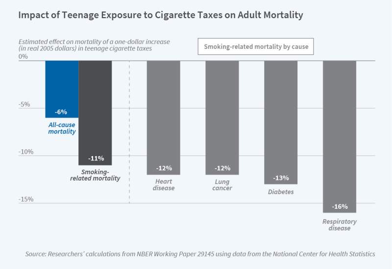 Impact of Teenage Exposure to Cigarette Taxes on Adult Mortality