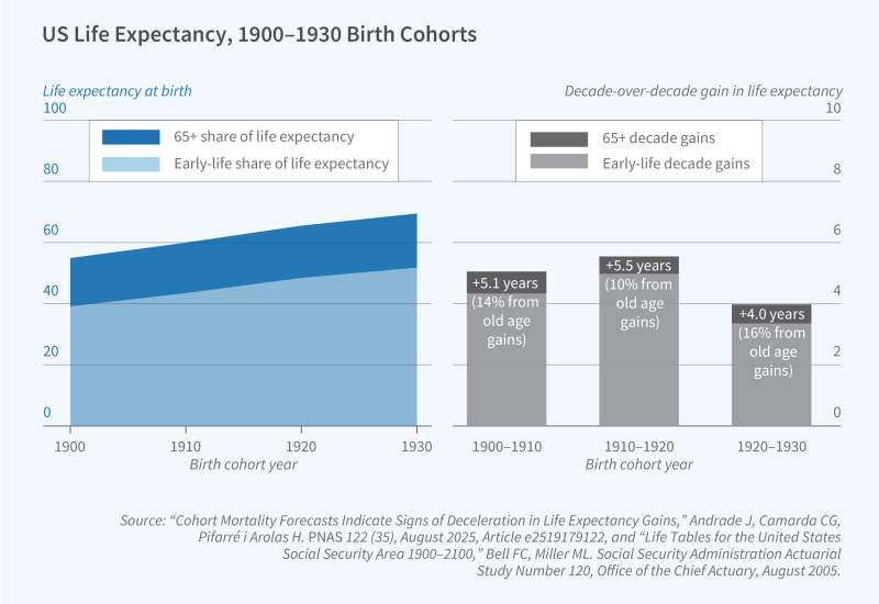 The Long Shadow of Early Life: Life Cycle Exposures and Old-Age Mortality figure