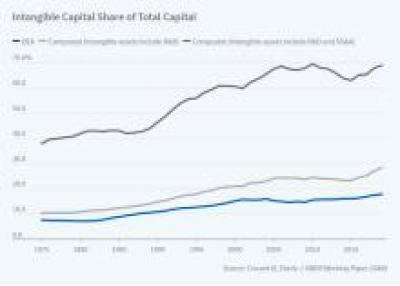 The Value of Intangible Capital  figure