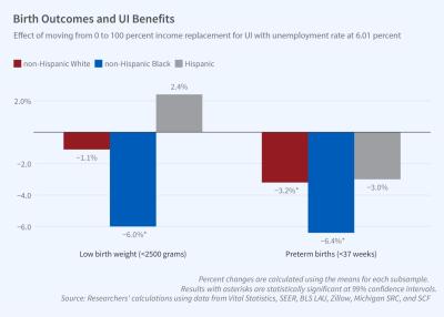 Unemployment Insurance, Birth Rates, and Infant Health