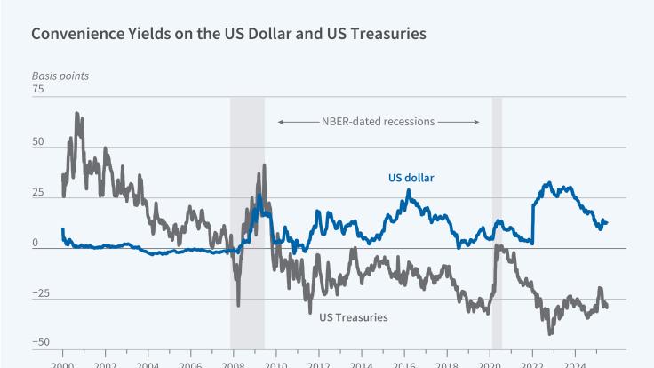 Convenience Yields: The US Dollar vs. US Treasuries Figure