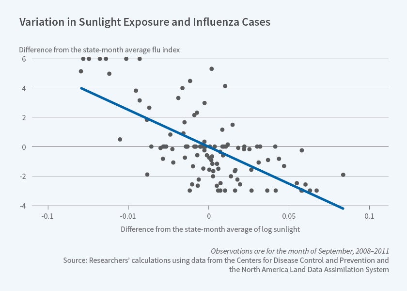 Image of the summary