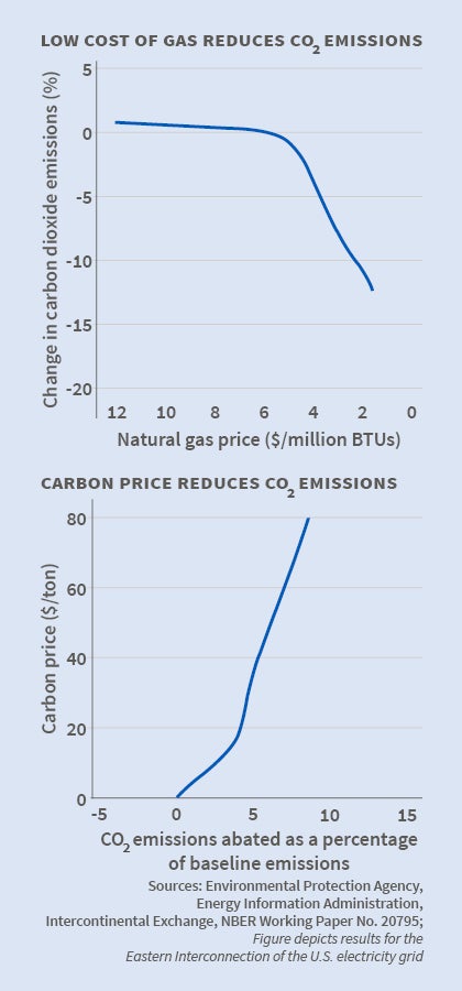 Image of the summary