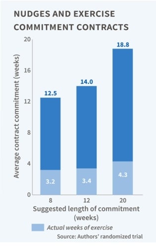 Image of the summary